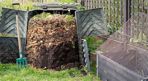 Dog Poop Fertilizer: Turning Dog Poop Into Garden Gold .